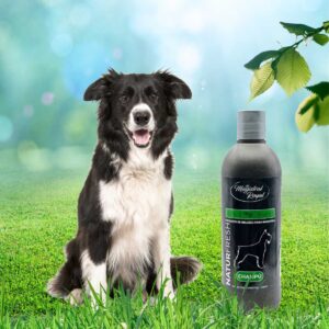 Champú Natur Fresh Relajante | Champú natural repelente para perros y gatos - Imagen 2