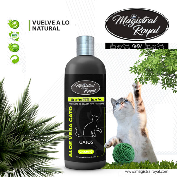 Champú Gato