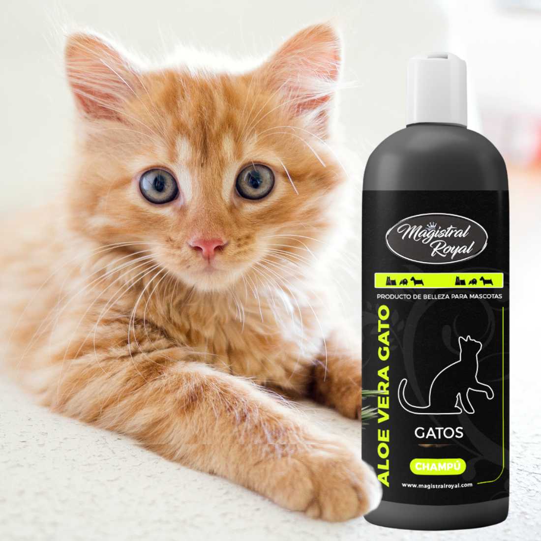 Gatos - Magistral Royal - Cosmtica para tu mascota