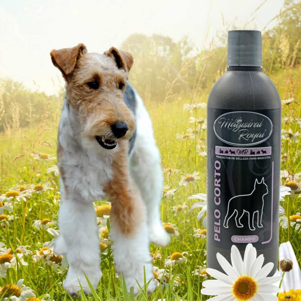 Champú para perros de esta raza y similares. conoce los mejores productos de higiene para tu mascota