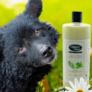 Magistral Royal cosmética está formulada con principios activos vegetales. Textura del champú jabonosa, agradable, elimina suciedad y aporta brillo y suavidad.