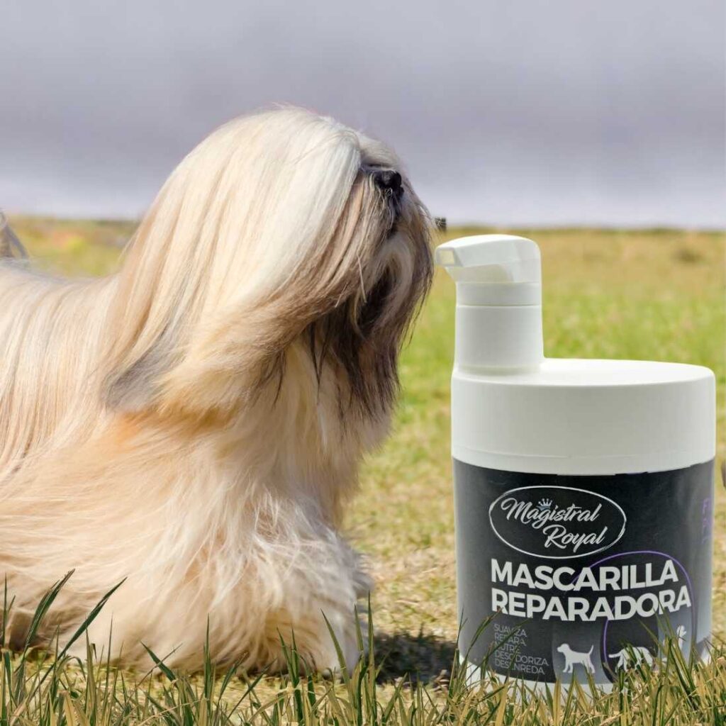 Magistral Royal cosmética está formulada con principios activos vegetales. Textura del champú jabonosa, agradable, elimina suciedad y aporta brillo y suavidad.