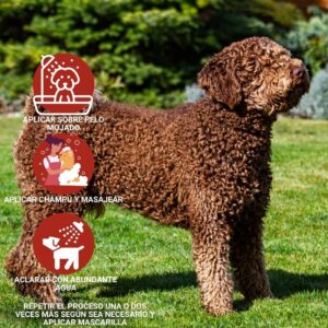 Champú Perro de Agua Español PDA | Mascotas - Imagen 2