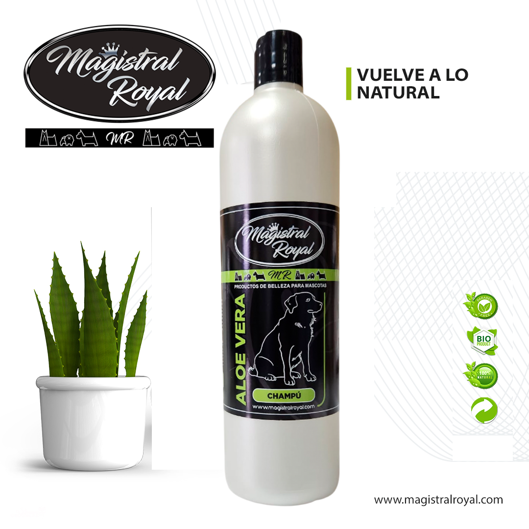 Champú Aloe Vera | Champú para perros - Imagen 2